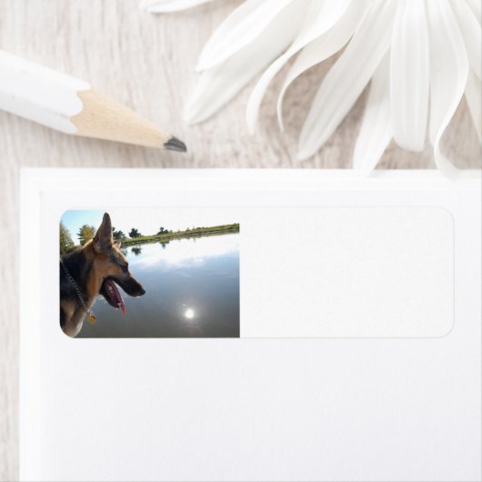 Deutscher Schäferhund/Vatertag (Insitu)