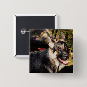 Deutscher Schäferhund von Shirley Taylor Button
