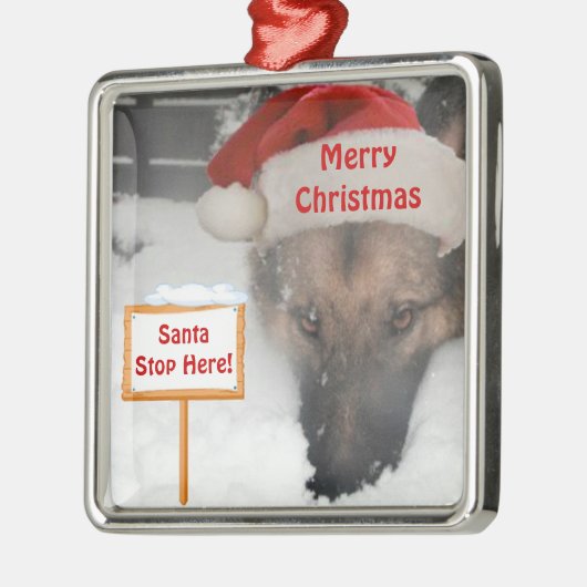 Deutscher Schäferhund Weihnachtsanfang hier Unters Silbernes Ornament (Links)