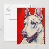 Deutscher Schäferhund - Weiß Postkarte (Vorne/Hinten)