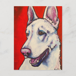 Deutscher Schäferhund - Weiß Postkarte