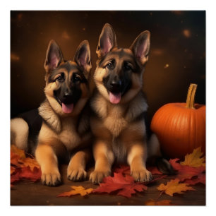Deutscher Schäferhund Welpe Herbstfreude Kürbis Poster