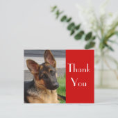 Deutscher Schäferhund Welpenhund Danke Post Card Postkarte (Stehend Vorderseite)