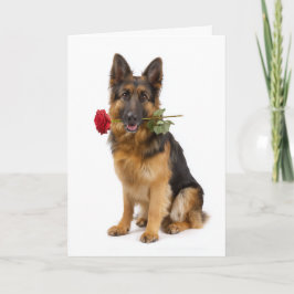 Deutscher Schäferhund zum Valentinstag Karte