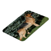 Deutscher Schäferstand Magnet (Linke Seite)