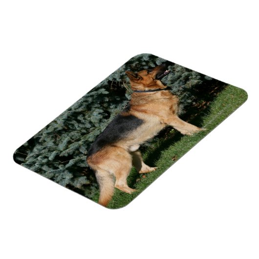 Deutscher Schäferstand Magnet (Linke Seite)