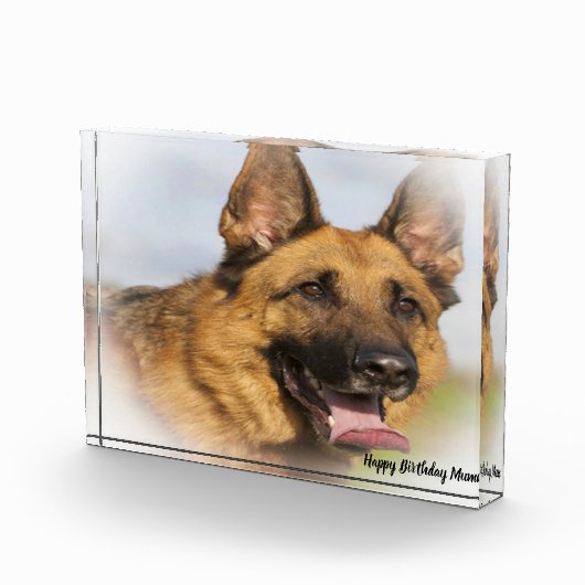 Deutscher Schafhund. Fotoblock (Rechts)