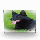 Deutscher Schafhund. Fotoblock (Vorderseite)