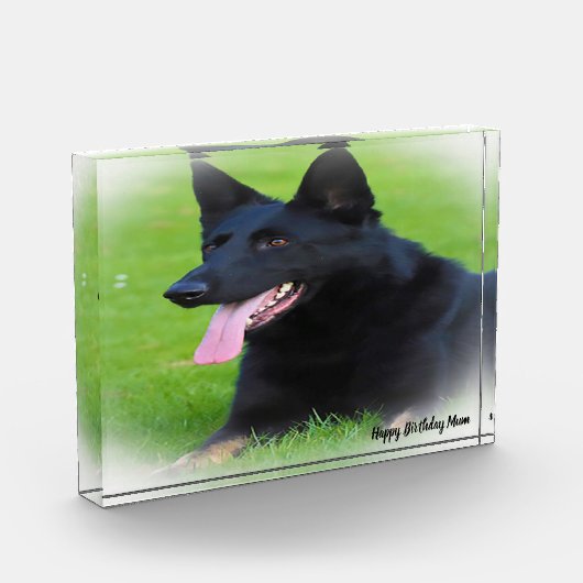 Deutscher Schafhund. Fotoblock (Links)