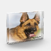 Deutscher Schafhund. Fotoblock (Links)