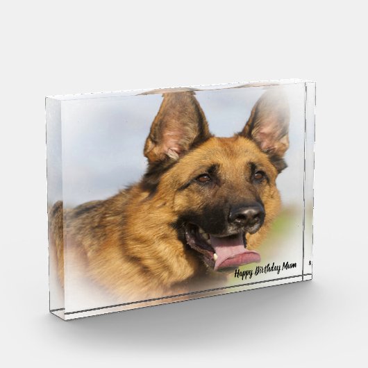 Deutscher Schafhund. Fotoblock (Links)