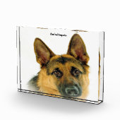 Deutscher Schafhund. Fotoblock (Rechts)