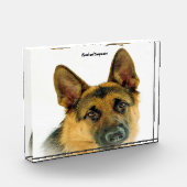 Deutscher Schafhund. Fotoblock (Links)