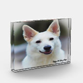 Deutscher Schafhund. Fotoblock (Links)