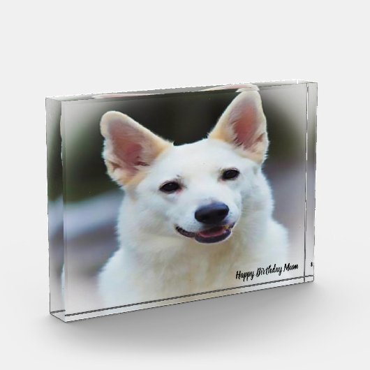 Deutscher Schafhund. Fotoblock (Links)