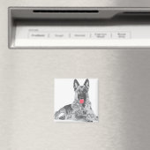 Deutscher Schwarz Magnet (In Situ (Geschirrspüler))