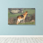 Deutscher Shephard Blick nach unten Leinwanddruck (Insitu (Holzboden))