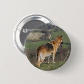 Deutscher Shephard, das hinunter Hügel schaut Button (Vorne & Hinten)