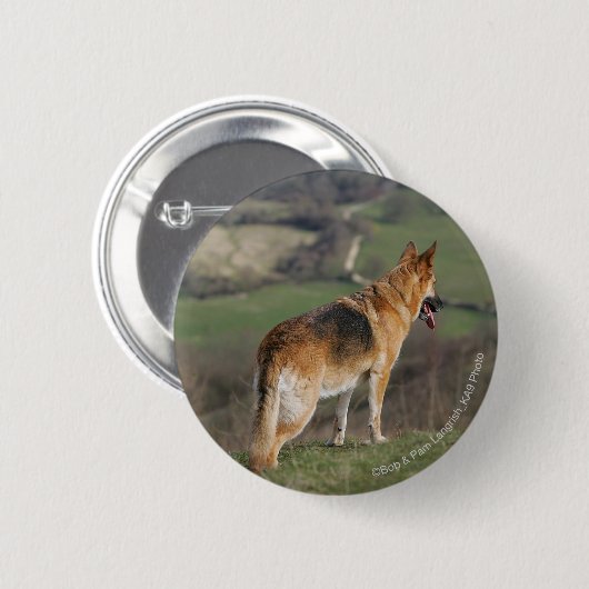 Deutscher Shephard, das hinunter Hügel schaut Button (Vorne & Hinten)