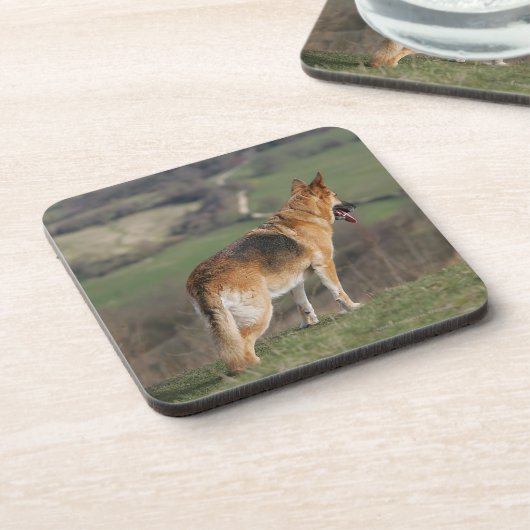 Deutscher Shephard, das hinunter Hügel schaut Getränkeuntersetzer (Linke Seite)