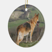 Deutscher Shephard, das hinunter Hügel schaut Keramikornament (Links)