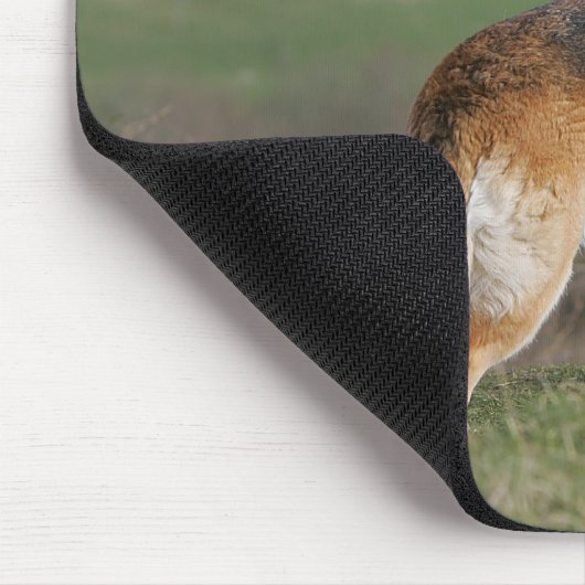 Deutscher Shephard, das hinunter Hügel schaut Mousepad (Ecke)