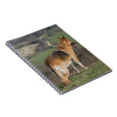 Deutscher Shephard, das hinunter Hügel schaut Notizblock (Rechte Seite)