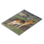 Deutscher Shephard, das hinunter Hügel schaut Notizblock (Linke Seite)