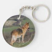 Deutscher Shephard, das hinunter Hügel schaut Schlüsselanhänger (Rückseite)