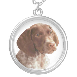 Deutscher Shorthair Welpe Versilberte Kette
