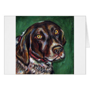 Deutscher Shorthair Zeiger