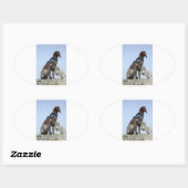 Deutscher Shortthair-Cursor sitzend.png Ovaler Aufkleber (Blatt)