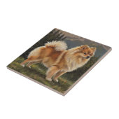 Deutscher Spitz Fliese (Seite)