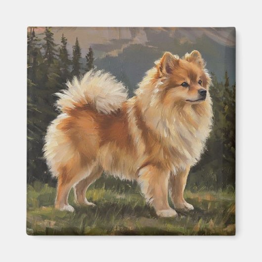 Deutscher Spitz Magnet (Vorne)