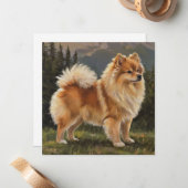 Deutscher Spitz Mitteilungskarte (Vorderseite/Rückseite Beispiel)