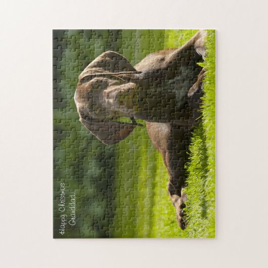 Deutscher Zeigerhund. Puzzle (Vertikal)