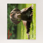 Deutscher Zeigerhund. Puzzle (Vertikal)