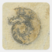 Deutsches Ammonit mit Dendriten Quadratischer Aufkleber (Vorderseite)