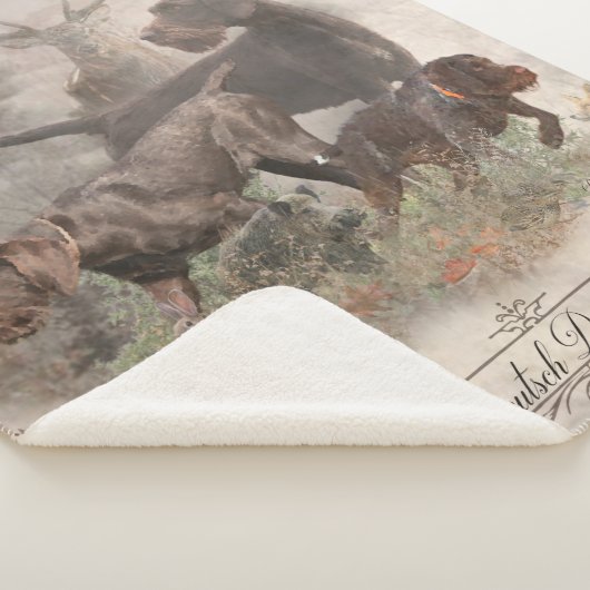 Deutsches Drahthaar-Bindeband Außenkissen Sherpadecke (3/4)