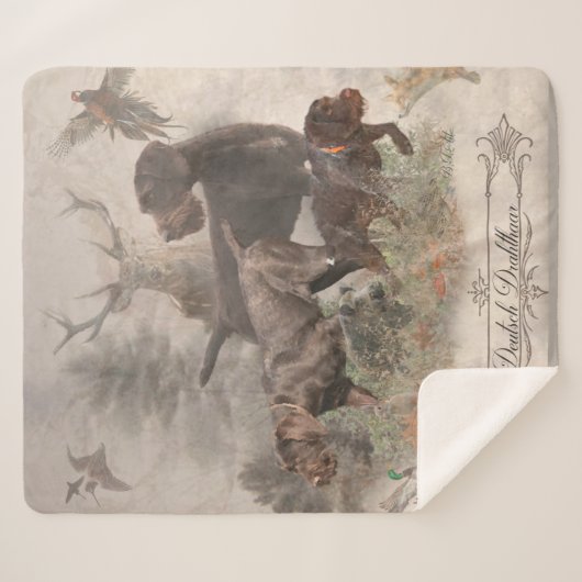 Deutsches Drahthaar-Bindeband Außenkissen Sherpadecke (Vorderseite (Horizontal))