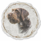 Deutsches Drahthaar Pointer Aufkleber (Vorderseite)