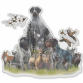 Deutsches Drahthaar Pointer Aufkleber (Vorderseite)