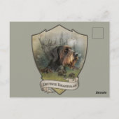 Deutsches Drahthaar Pointer, Boarenjagd Postkarte (Rückseite)