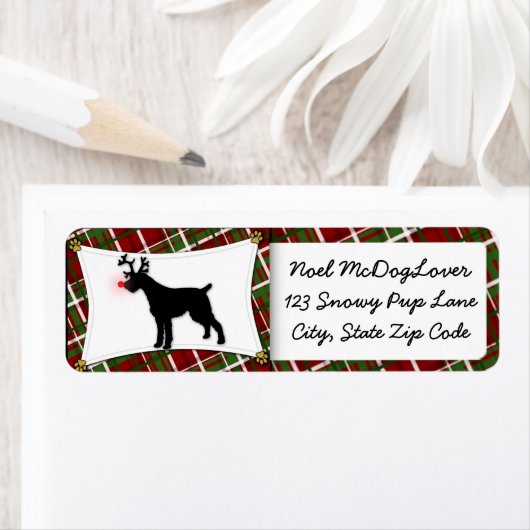 Deutsches Drahthaar Pointer Christmas (Insitu)