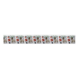 Deutsches Drahthaar Pointer Christmas Ripsband
