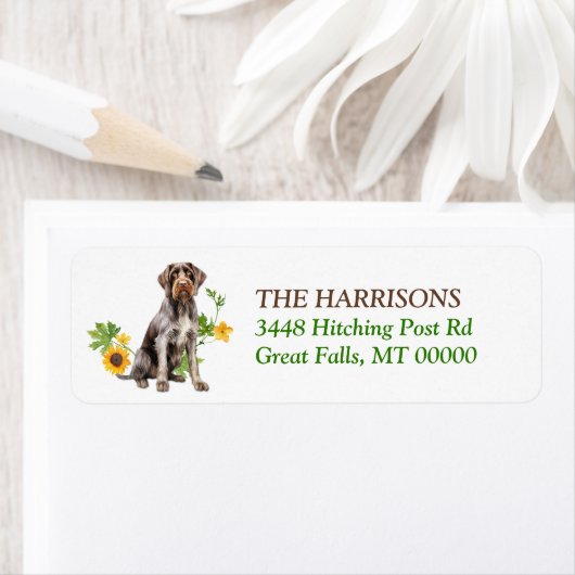 Deutsches Drahthaar Pointer Dog Sonnenblumenkranz (Insitu)