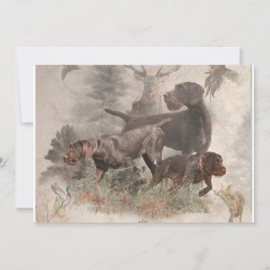 Deutsches Drahthaar Pointer Einladung (Rückseite)