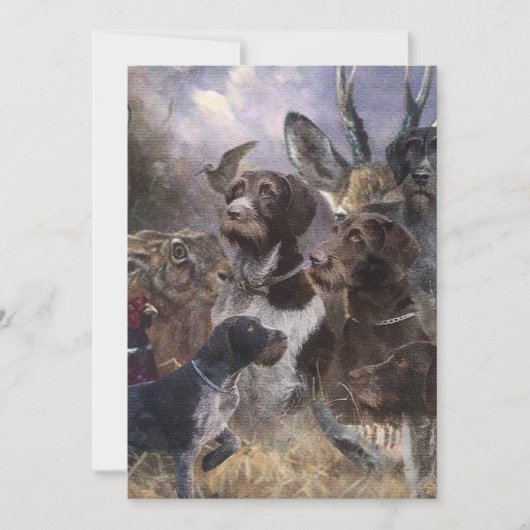 Deutsches Drahthaar Pointer Einladung (Vorderseite)