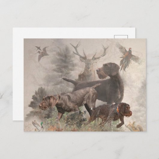 Deutsches Drahthaar Pointer Feiertagspostkarte (Vorne/Hinten)