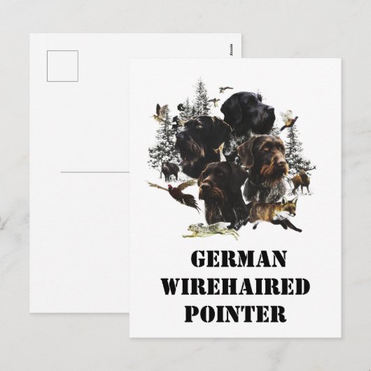 Deutsches Drahthaar Pointer Feiertagspostkarte (Vorne/Hinten)
